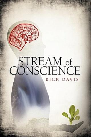 Könyv Stream of Conscience Davis Rick Davis