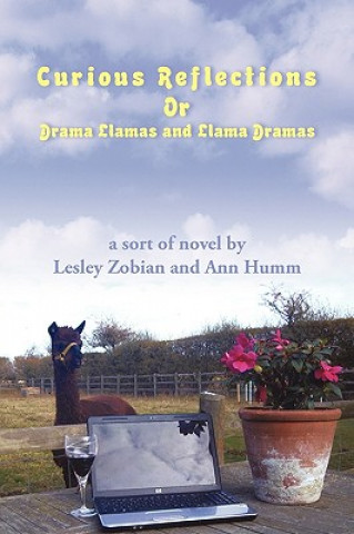 Book Curious Reflections Zobian And Ann Humm Lesley Zobian and Ann Humm