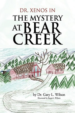 Kniha Mystery at Bear Creek Dr Gary L Wilson