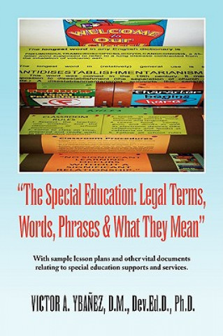 Boek Special Education Victor A Ybanez