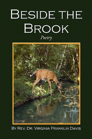 Knjiga Beside the Brook Rev Dr Virginia Franklin Davis