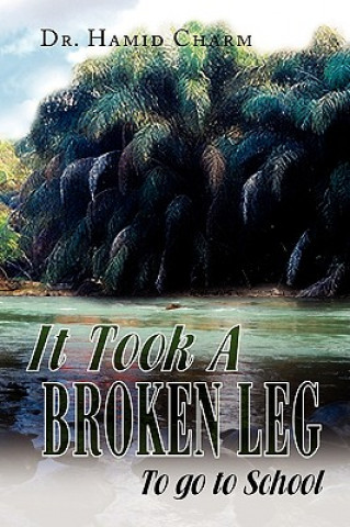 Könyv It Took A Broken Leg Dr Hamid Charm