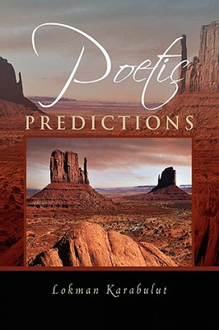 Buch Poetic Predictions Lokman Karabulut