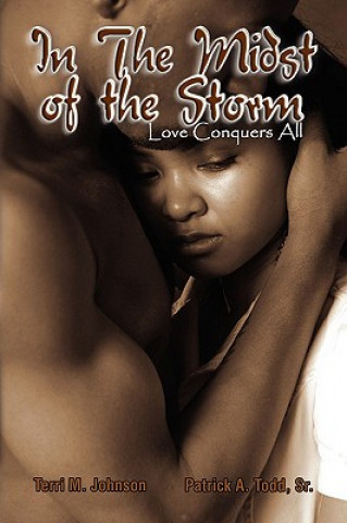 Kniha In the Midst of the Storm Terri M Patrick a Todd Sr Johnson