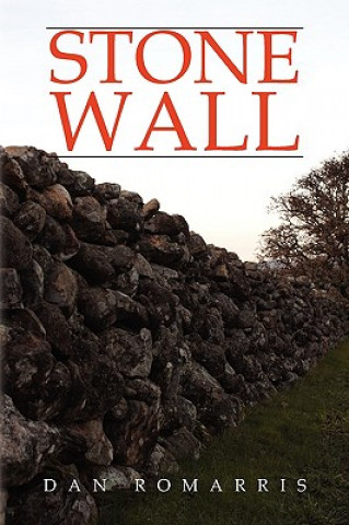 Livre Stone Wall Dan Romarris