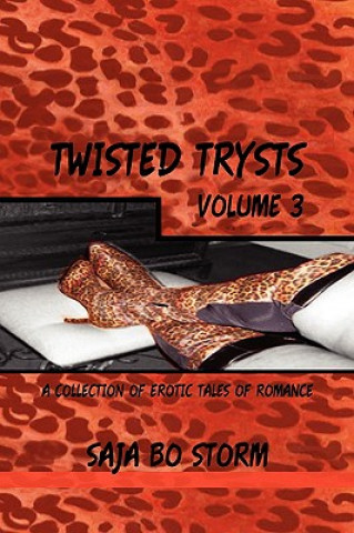 Книга Twisted Trysts Volume Three Saja Bo Storm