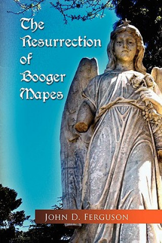 Kniha Resurrection of Booger Mapes John D Ferguson