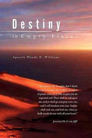 Kniha Destiny in Empty Places Wanda N Williams