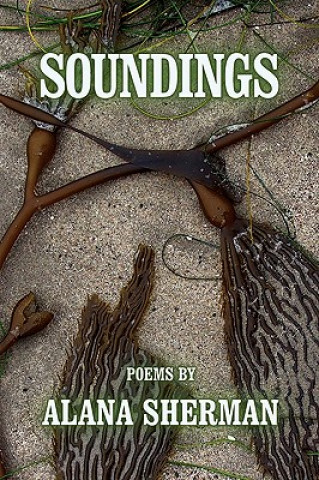 Carte Soundings Alana Sherman