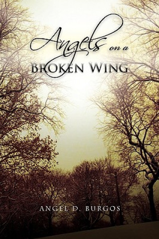 Könyv Angels on a Broken Wing Angel D Burgos