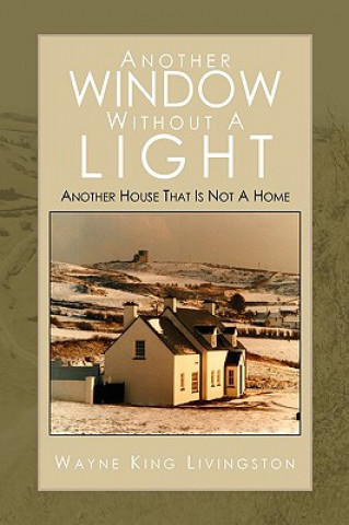 Könyv Another Window Without A Light Wayne King Livingston