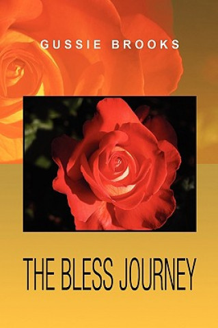 Buch Bless Journey Gussie Brooks