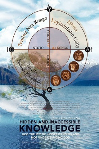 Boek Hidden and Inaccessible Knowledge Celly Luyinduladio