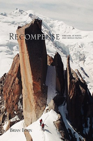 Buch Recompense Brian Irwin