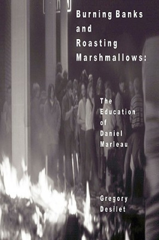 Book Burning Banks and Roasting Marshmallows Gregory Desilet