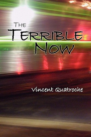 Boek Terrible Now Vincent Quatroche