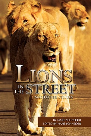 Buch Lions in the Street James Schneider