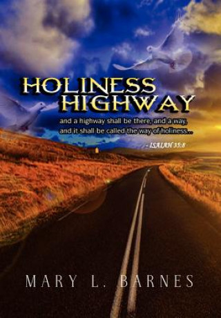 Kniha Holiness Highway Mary L Barnes