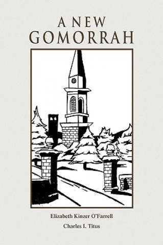 Buch New Gomorrah Elizabeth Kinzer