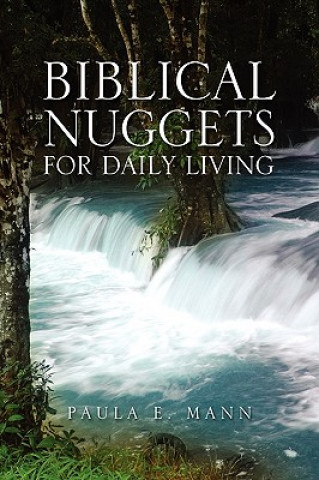 Книга Biblical Nuggets for Daily Living Paula E Mann