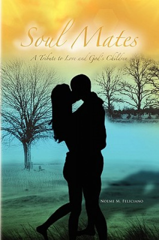 Book Soul Mates Noeme M Feliciano