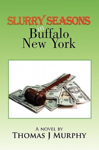 Könyv Slurry Seasons in Buffalo New York Thomas J Murphy