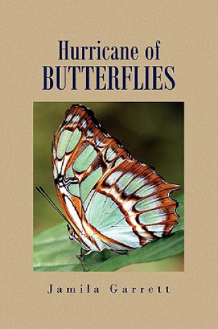 Buch Hurricane of Butterflies Jamila Garrett