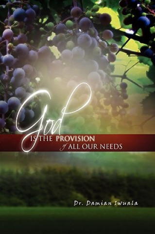 Livre God Is the Provision of All Our Needs Dr Damian Iwuala