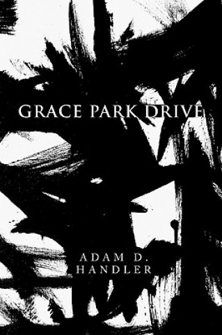 Könyv Grace Park Drive Adam D Handler