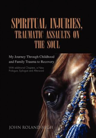 Buch Spiritual Injuries, Traumatic Assaults on the Soul John Roland High