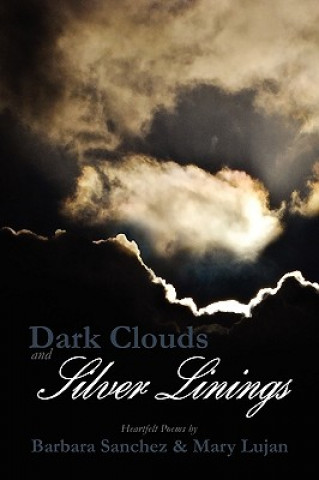 Livre Dark Clouds and Silver Linings Barbara Sanchez & Mary Lujan