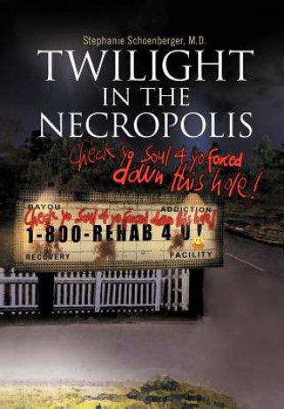 Buch Twilight in the Necropolis Stephanie M D Schoenberger