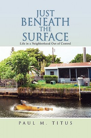 Boek Just Beneath the Surface Paul M Titus