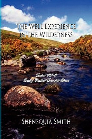 Livre Well Experience in the Wilderness Shenequia Smith