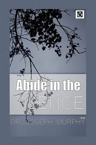 Carte Abide in the Silence Murphy