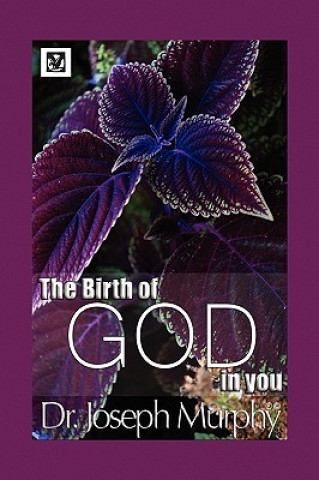 Kniha Birth of God in You Murphy