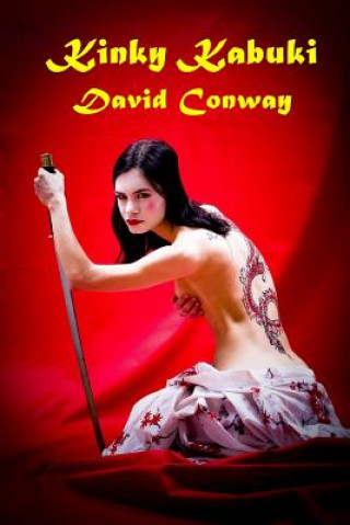 Kniha Kinky Kabuki David Conway