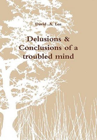 Könyv Delusions & Conclusions of a troubled mind Lee