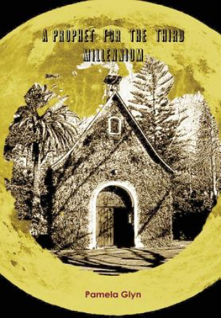 Boek Prophet for the Third Millennium Pamela Glyn