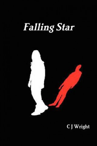 Knjiga Falling Star C J Wright