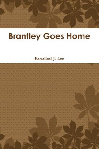 Kniha Brantley Goes Home Rosalind J. Lee