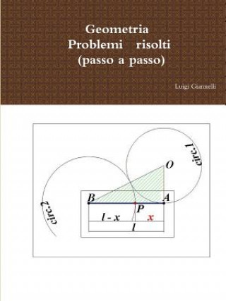 Kniha Geometria, Problemi risolti (passo a passo) Luigi Giannelli