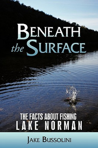 Book Beneath the Surface Jake Bussolini