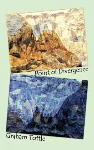 Könyv Point of Divergence Graham Tottle