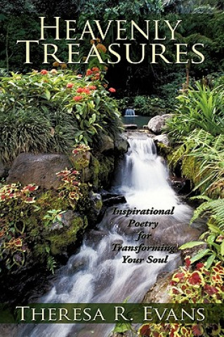 Книга Heavenly Treasures Theresa R Evans