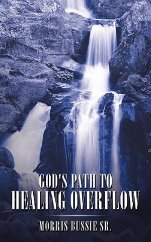 Buch God's Path to Healing Overflow Bussie