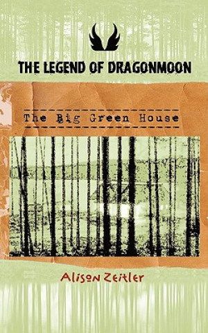 Buch Legend of DragonMoon Alison Zeitler