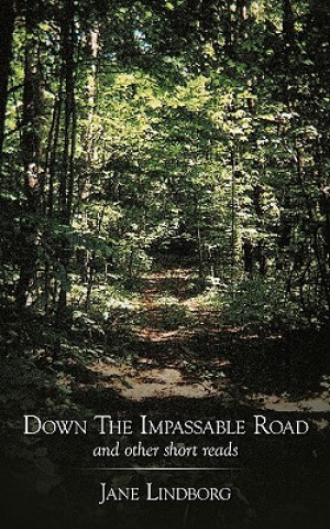 Kniha Down The Impassable Road Jane Lindborg