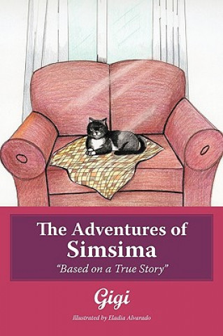 Книга Adventures of Simsima Gigi