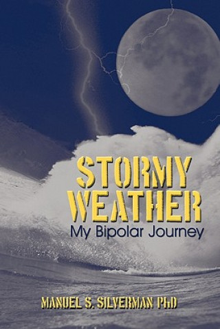 Könyv Stormy Weather Manuel S Silverman Phd